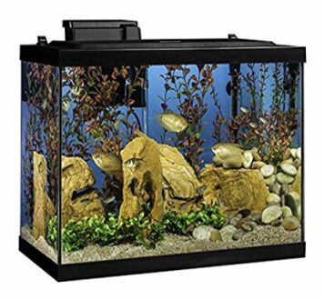 Tetra Aquarium 20 Gallon Fish Tank Kit - A Complete Review