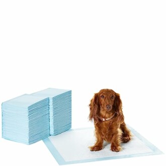 Amazon Basics Dog and Puppy Pee Pads Review - Training Pads for Dogs