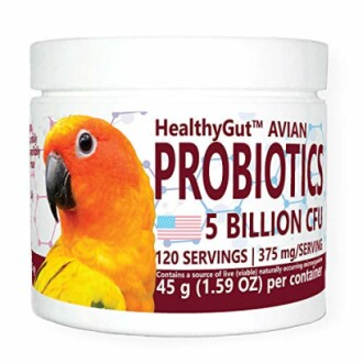 HealthyGut Avian Probiotics Dietary Supplement for Parrots Review