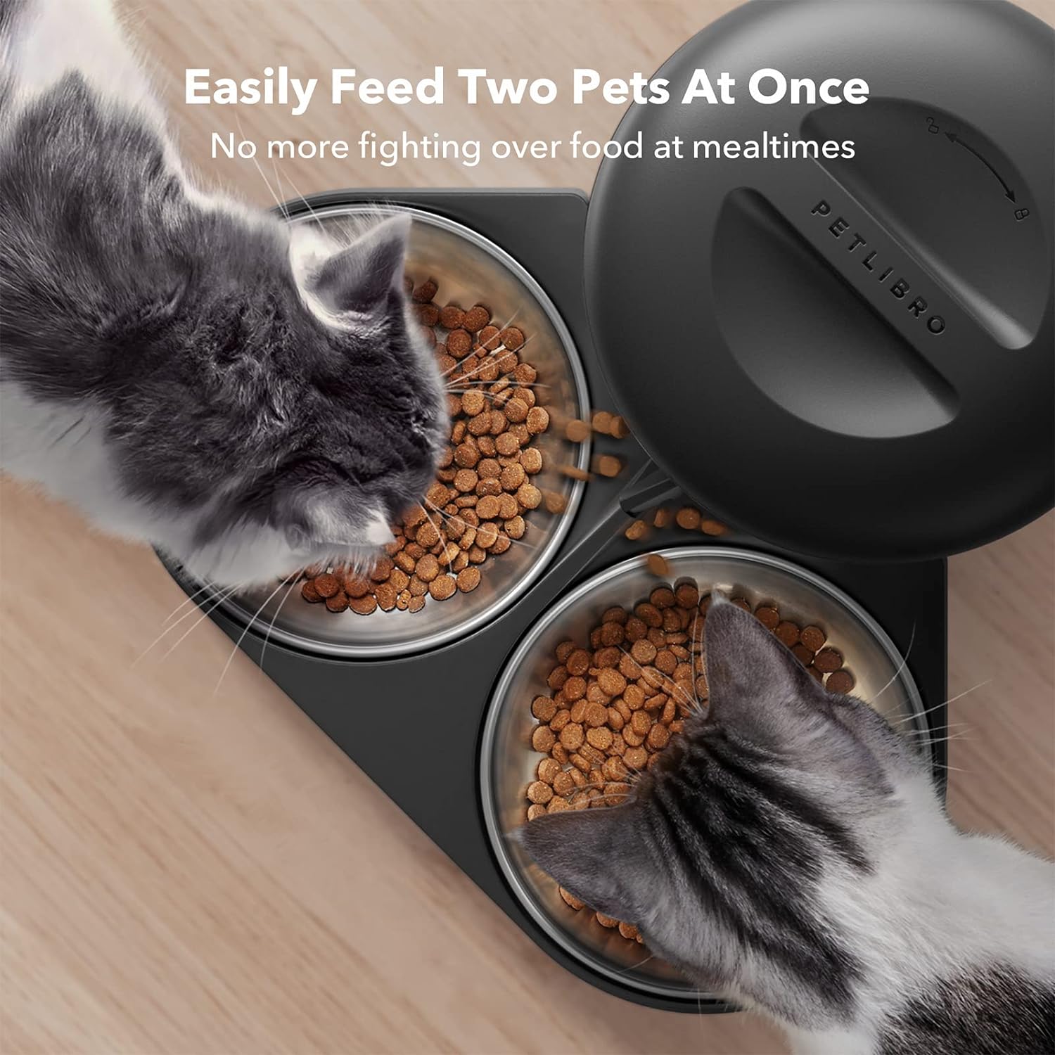 Easily feed two pets at once